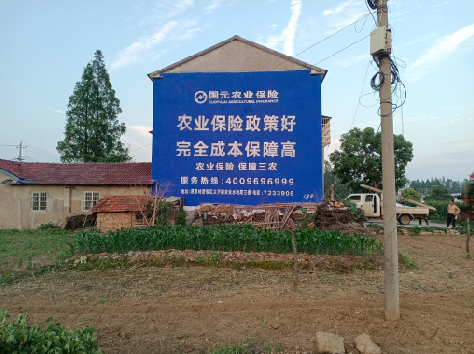 龙岩墙体广告的优劣势你知道吗？